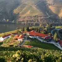 Partner A unique historical property in the heart of Douro Valley photo